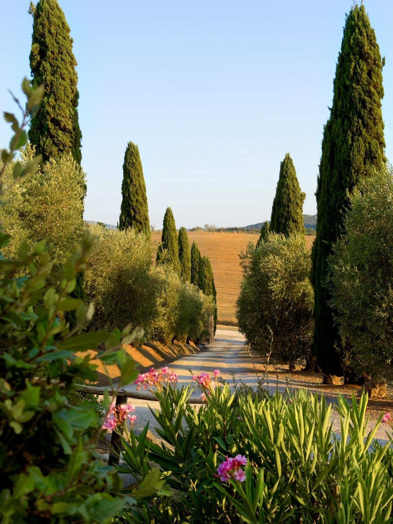 Agriturismo Il Raduno - Max Lelli Marsiliana Exterior foto